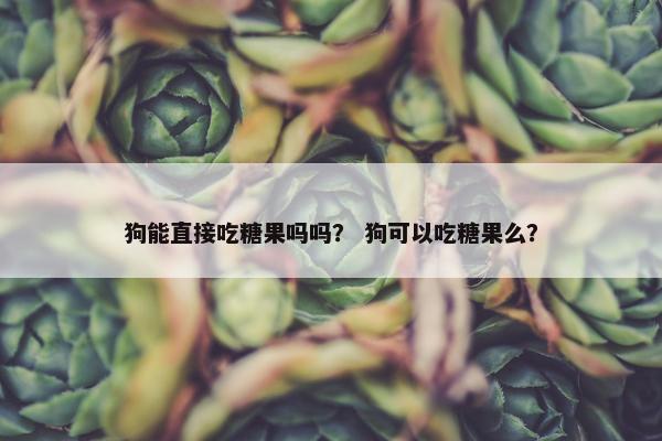 狗能直接吃糖果吗吗？ 狗可以吃糖果么？
