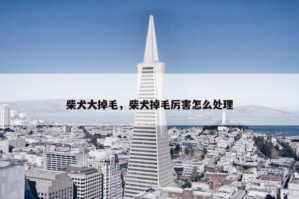 柴犬大掉毛，柴犬掉毛厉害怎么处理