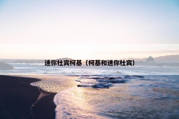 迷你杜宾柯基（柯基和迷你杜宾）