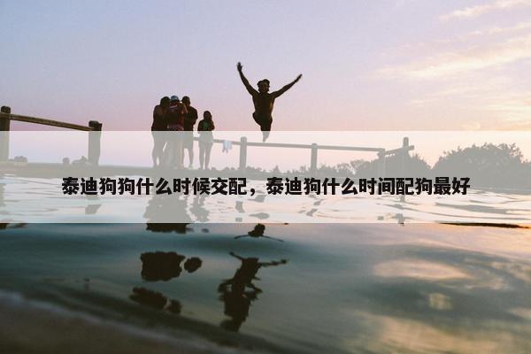 泰迪狗狗什么时候交配，泰迪狗什么时间配狗最好