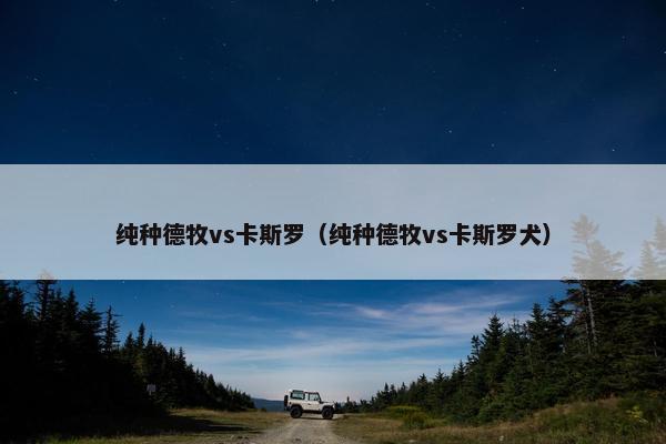 纯种德牧vs卡斯罗（纯种德牧vs卡斯罗犬）