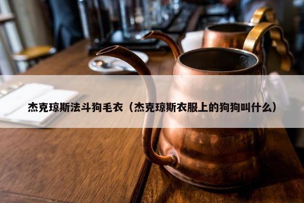 杰克琼斯法斗狗毛衣（杰克琼斯衣服上的狗狗叫什么）