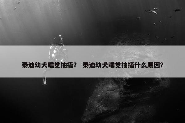 泰迪幼犬睡觉抽搐？ 泰迪幼犬睡觉抽搐什么原因？