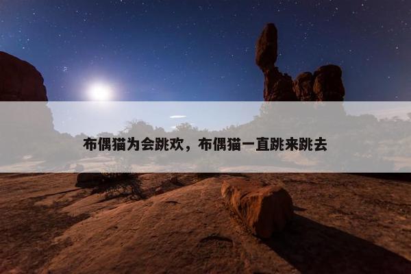 布偶猫为会跳欢，布偶猫一直跳来跳去