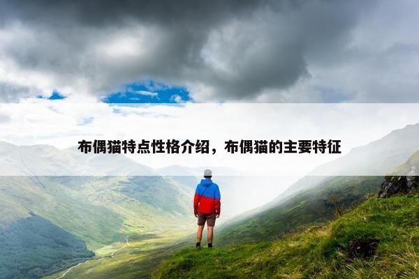 布偶猫特点性格介绍，布偶猫的主要特征