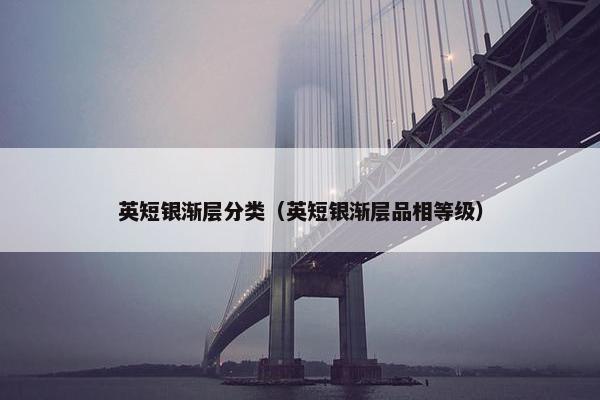 英短银渐层分类（英短银渐层品相等级）