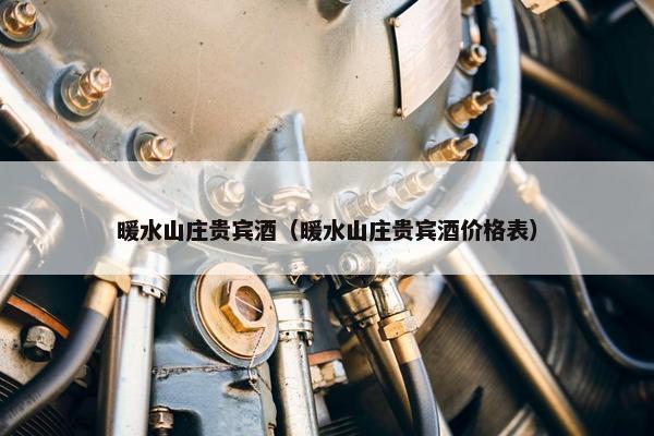 暖水山庄贵宾酒（暖水山庄贵宾酒价格表）