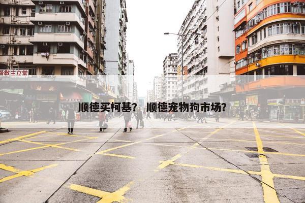 顺德买柯基？ 顺德宠物狗市场？