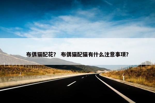 布偶猫配花？ 布偶猫配猫有什么注意事项？