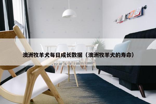 澳洲牧羊犬每日成长数据（澳洲牧羊犬的寿命）