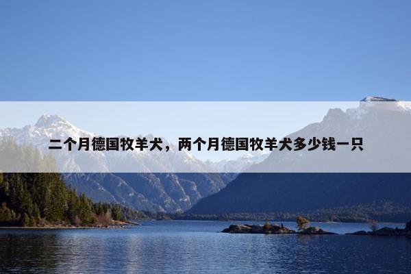 二个月德国牧羊犬，两个月德国牧羊犬多少钱一只