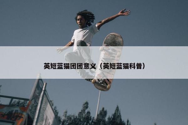 英短蓝猫团团意义（英短蓝猫科普）