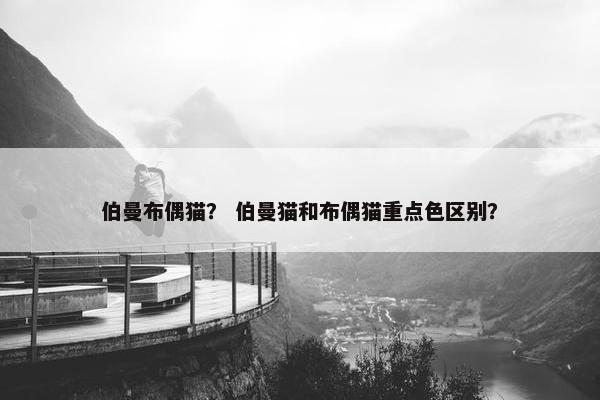 伯曼布偶猫？ 伯曼猫和布偶猫重点色区别？