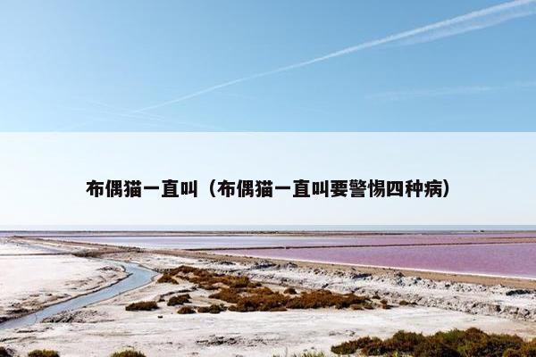 布偶猫一直叫（布偶猫一直叫要警惕四种病）