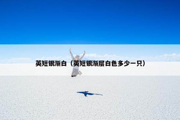 英短银渐白（英短银渐层白色多少一只）