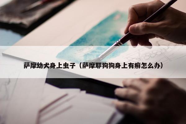 萨摩幼犬身上虫子（萨摩耶狗狗身上有癣怎么办）