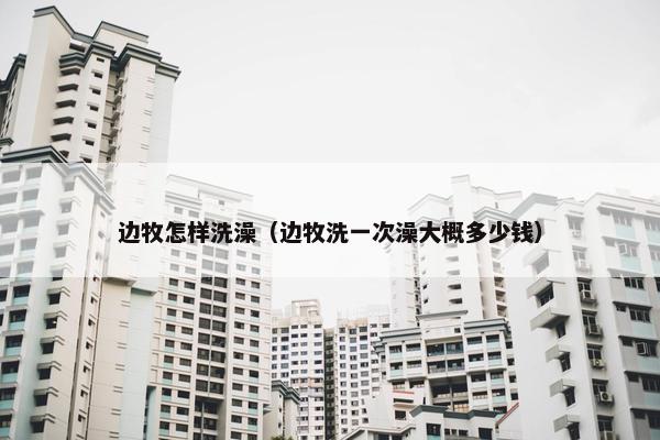 边牧怎样洗澡（边牧洗一次澡大概多少钱）