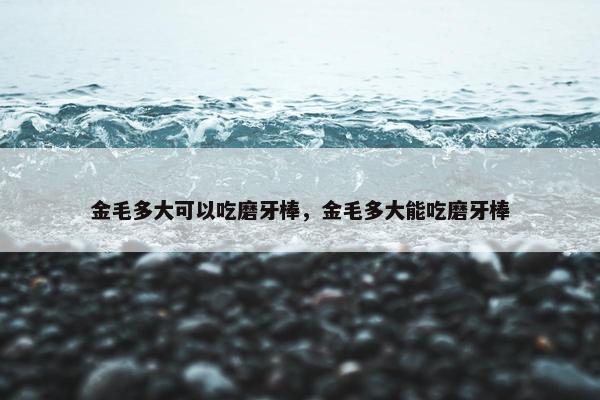 金毛多大可以吃磨牙棒，金毛多大能吃磨牙棒