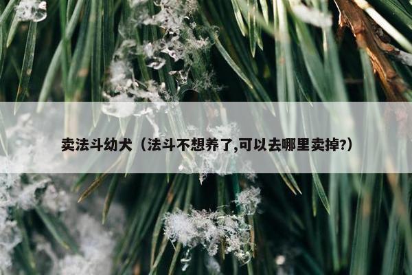 卖法斗幼犬（法斗不想养了,可以去哪里卖掉?）