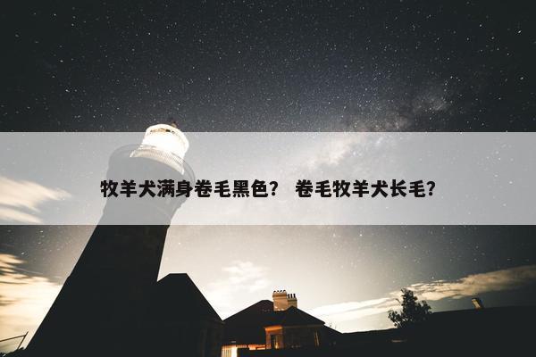 牧羊犬满身卷毛黑色？ 卷毛牧羊犬长毛？