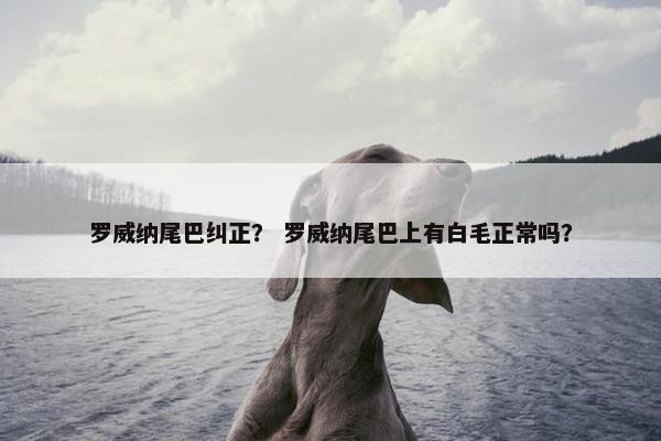 罗威纳尾巴纠正？ 罗威纳尾巴上有白毛正常吗？