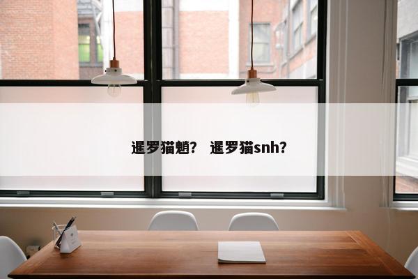 暹罗猫魈？ 暹罗猫snh？