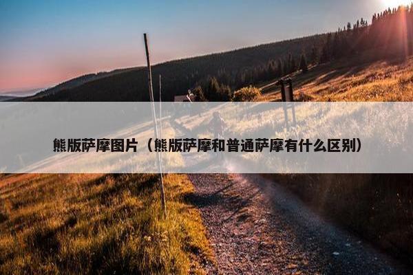 熊版萨摩图片（熊版萨摩和普通萨摩有什么区别）