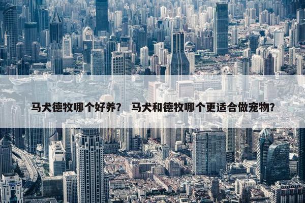 马犬德牧哪个好养？ 马犬和德牧哪个更适合做宠物？
