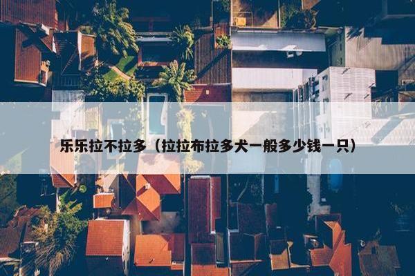 乐乐拉不拉多（拉拉布拉多犬一般多少钱一只）