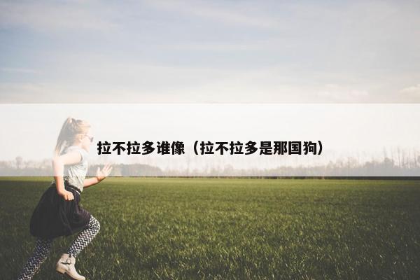 拉不拉多谁像（拉不拉多是那国狗）