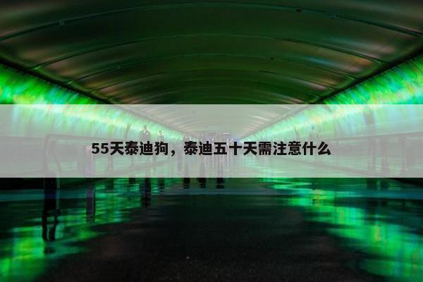 55天泰迪狗，泰迪五十天需注意什么