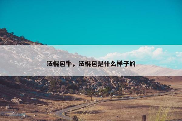 法棍包牛，法棍包是什么样子的