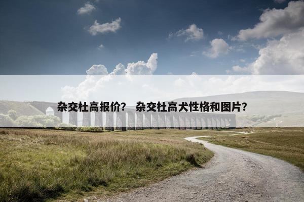 杂交杜高报价？ 杂交杜高犬性格和图片？