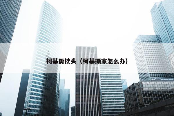 柯基撕枕头（柯基撕家怎么办）