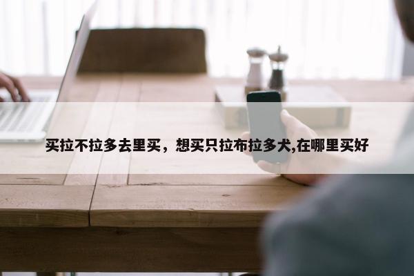 买拉不拉多去里买，想买只拉布拉多犬,在哪里买好
