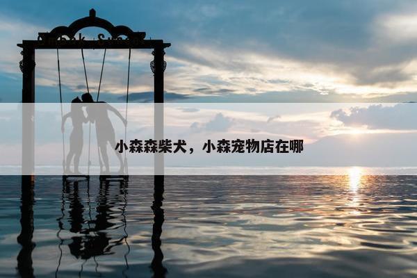 小森森柴犬，小森宠物店在哪