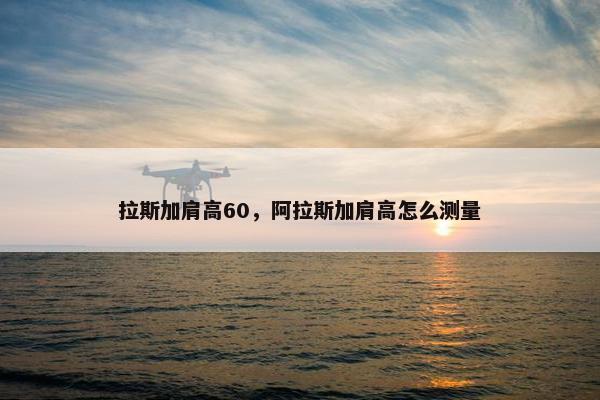 拉斯加肩高60，阿拉斯加肩高怎么测量