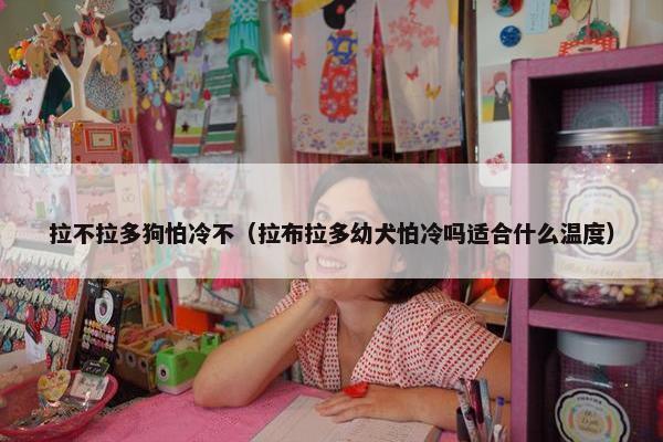 拉不拉多狗怕冷不（拉布拉多幼犬怕冷吗适合什么温度）