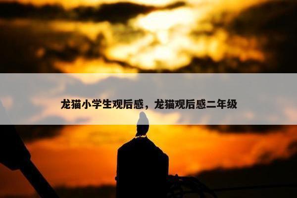 龙猫小学生观后感，龙猫观后感二年级