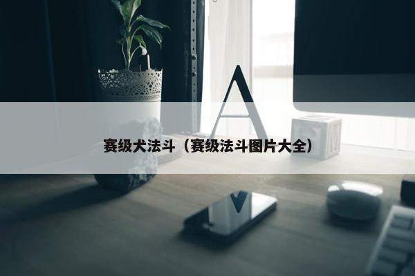 赛级犬法斗（赛级法斗图片大全）