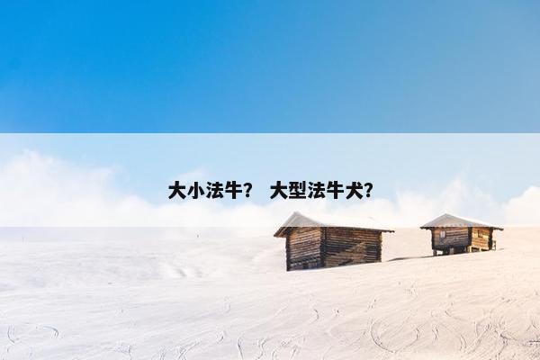 大小法牛？ 大型法牛犬？