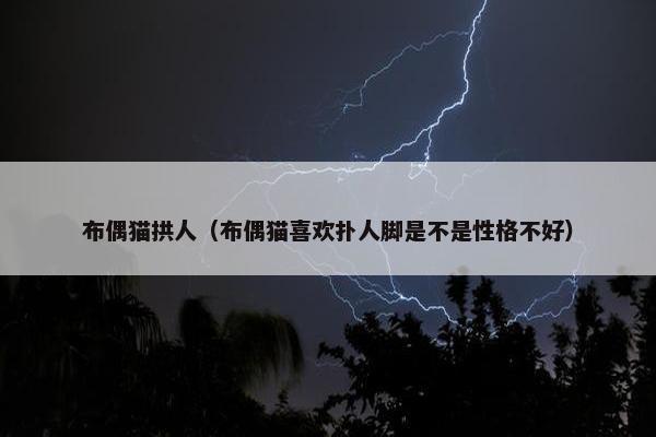 布偶猫拱人（布偶猫喜欢扑人脚是不是性格不好）