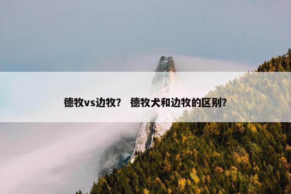 德牧vs边牧？ 德牧犬和边牧的区别？
