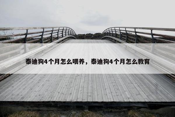泰迪狗4个月怎么喂养，泰迪狗4个月怎么教育