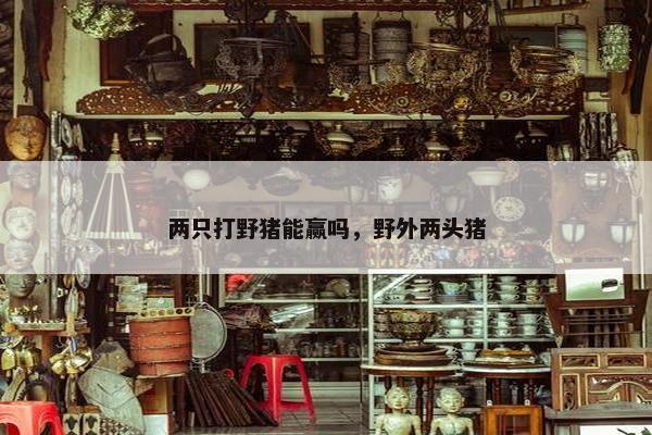 两只打野猪能赢吗，野外两头猪