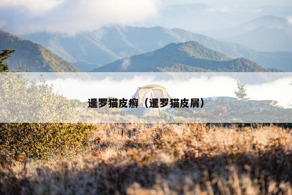 暹罗猫皮癣（暹罗猫皮屑）