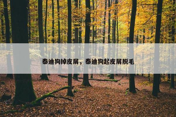 泰迪狗掉皮屑，泰迪狗起皮屑脱毛