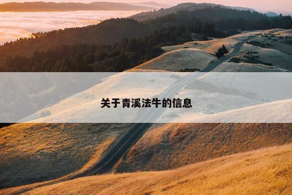 关于青溪法牛的信息