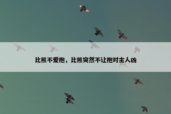 比熊不爱抱，比熊突然不让抱对主人凶