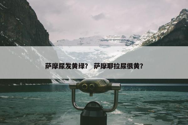 萨摩尿发黄绿？ 萨摩耶拉尿很黄？